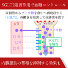 カナスマート100mgの効果