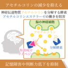 ドネプ10mgの効果