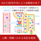エンパスマート25mgの効果