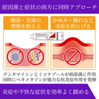 ベトノベートGM1%の効果