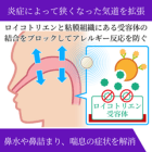 モンテア10mgの効果