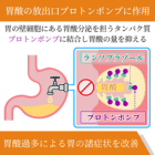 ラン30mgの効果