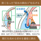 ピロカー2%の効果