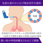 アスタリンインヘラー100mcgの効果