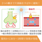 リザトップ10mgの効果