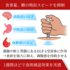ウゴービ0.25mgの効果