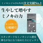 ツゲイン5%の概要