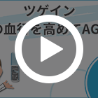 ツゲイン5%の特徴動画