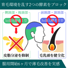 デュタス0.5mgの効果