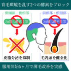 ベルトリド0.5mgの効果