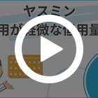 ヤスミンの特徴動画