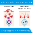 バルトレックス1000mgの効果