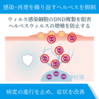 ゾビラックス200mgの効果