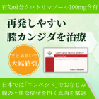 カーネステン膣錠100mgの概要