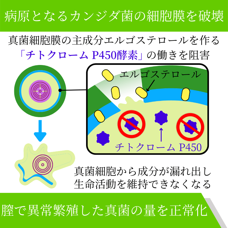 カーネステン膣錠100mgの効果