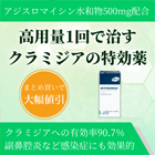 ジスロマック500mgの特徴