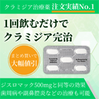 アジー500mgの概要