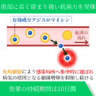 アジー500mgの効果