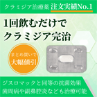 アジー1000mgの概要