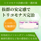 フラジール500mgの概要
