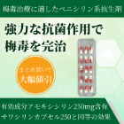 ノバモックス250mgカプセルの概要
