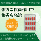 ノバモックス500mgカプセルの概要