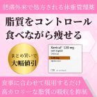 ゼニカル120mg(42錠)の概要