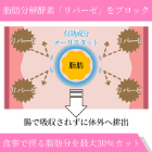 ゼニカル120mg(42錠)の効果