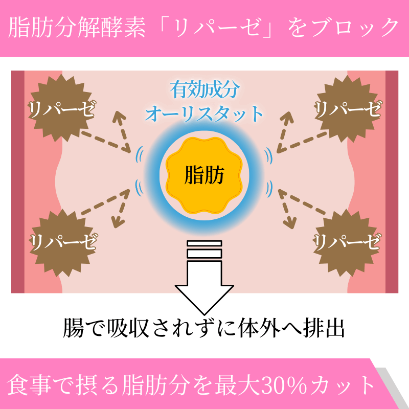 スリムトリム60mgの効果