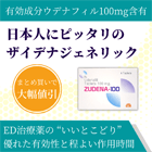 ズデナ100mgの概要