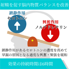 ダポキシー60mgの効果