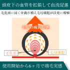 ミノキシトップ10％の使い方