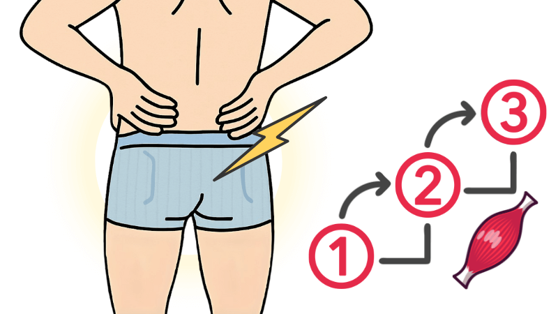 腰に手を当てた状態で肛門締めトレーニングをする背面の男性と、3段階のステップアップ式の解説を示すイメージイラスト
