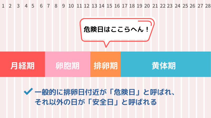 危険日と安全日