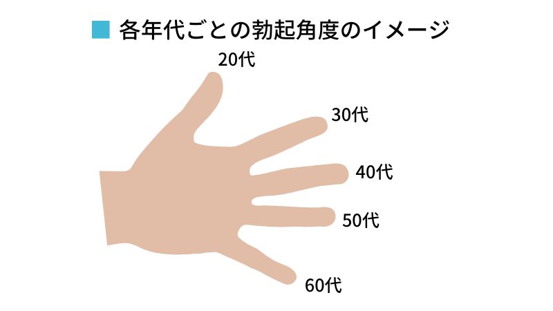 年代ごとの勃起角度のイメージ