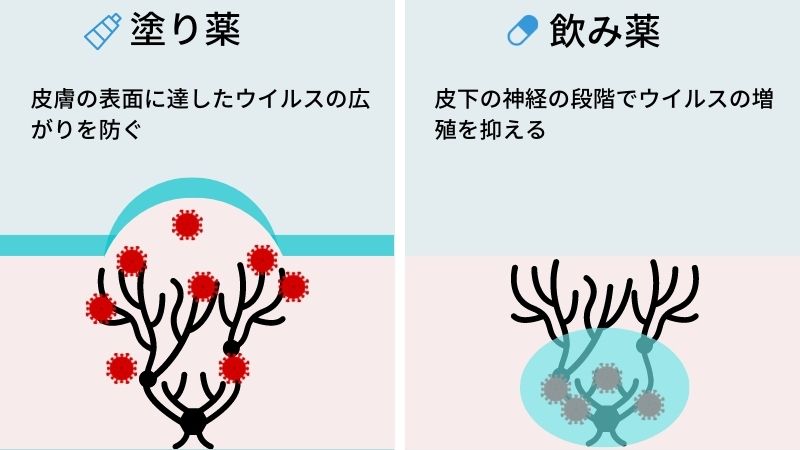 飲み薬の作用のイメージ