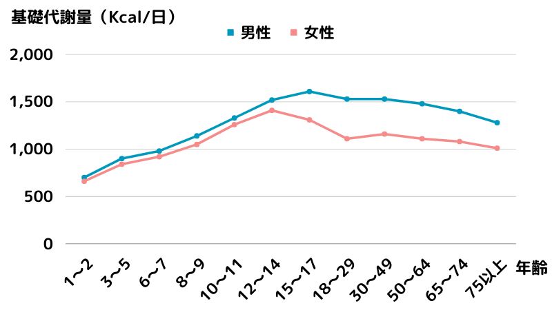 年齢別の基礎代謝量のグラフ