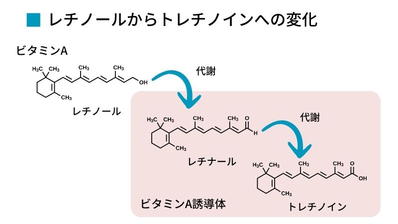 レチノールからトレチノインへの変化