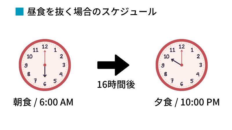 昼食を抜く場合のスケジュール