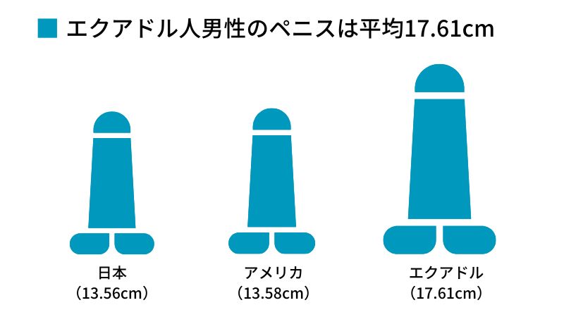 エクアドル人男性のペニスは平均17.61cm