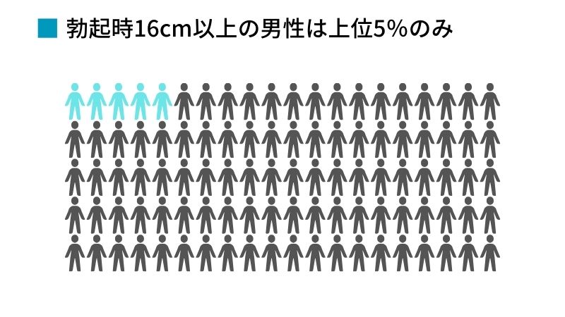 勃起時16cmは上位5％のみ