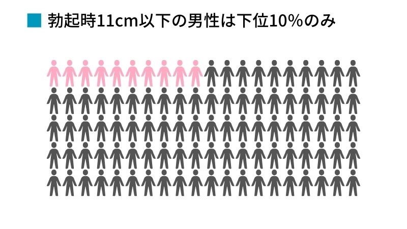 勃起時11cmは下位10％のみ
