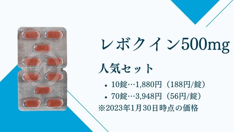 レボクイン500mg
