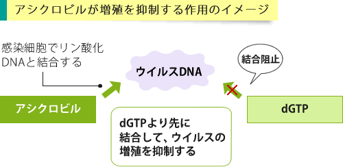 アシクロビルの作用イメージ