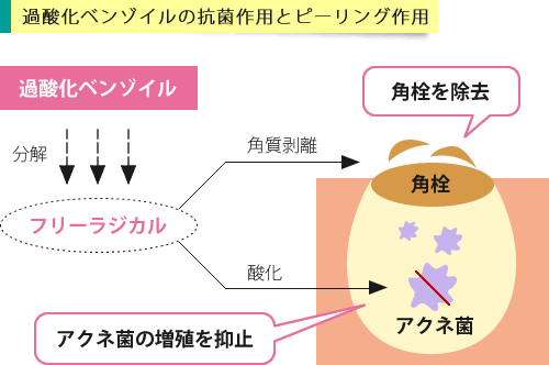 ベンザックACジェルの有効成分過酸化ベンゾイルが作用するイメージ