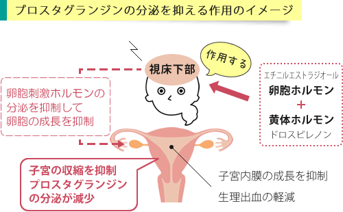 ドロスピレノンの作用イメージ