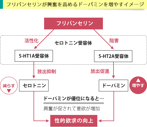 フリバンの有効成分フリバンセリンの作用イメージ