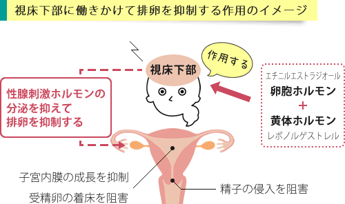 レボノルゲストレルが避妊を可能にする作用イメージ