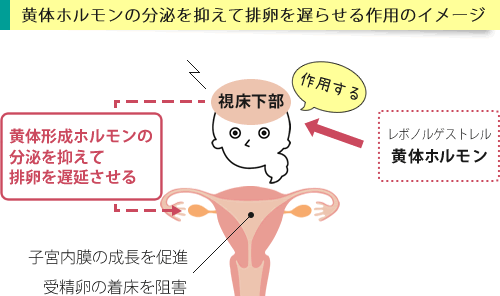 アイピルの有効成分が作用するイメージ