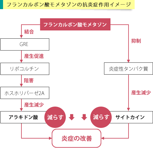 フランカルボン酸モメタゾンの作用イメージ